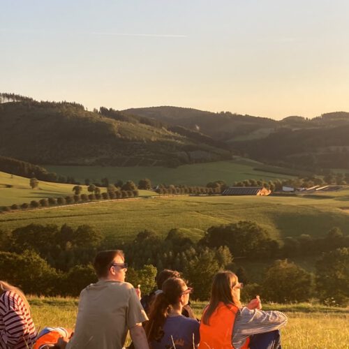 Am Samstag ist Krötenwanderung