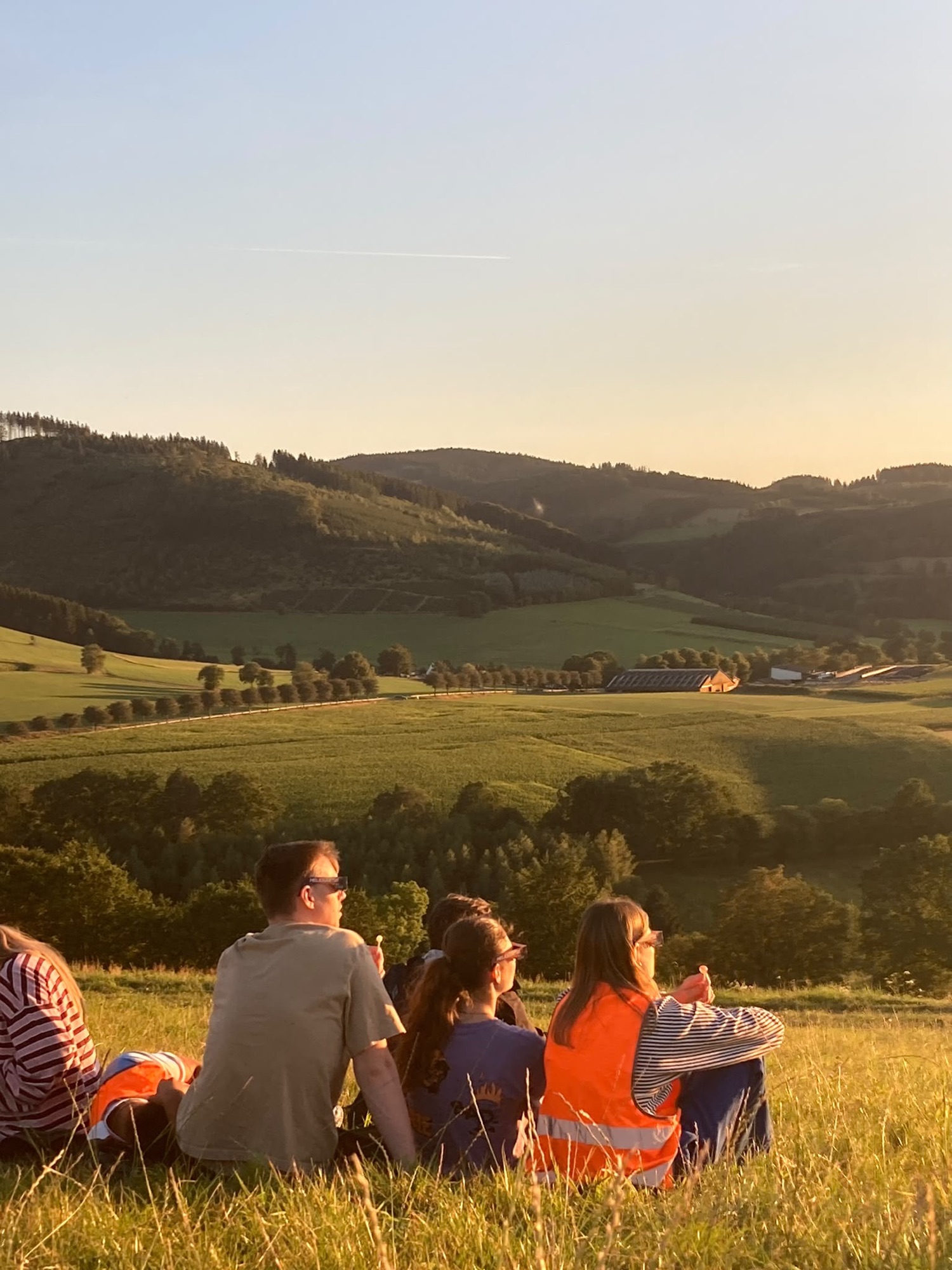 Du betrachtest gerade Am Samstag ist Krötenwanderung